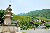 표충사