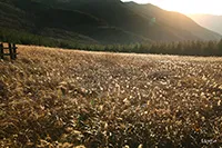 신불산